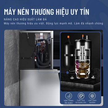 Máy nén thương hiệu uy tín