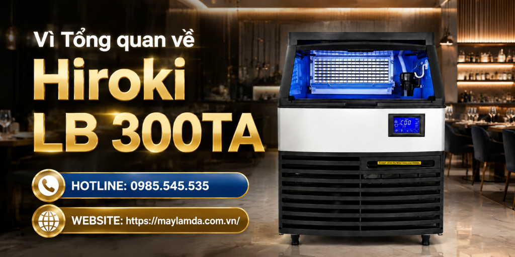 Tổng quan về Hiroki LB 300TA